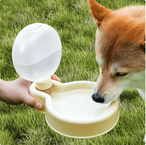 500mL Portable Collapsible Cat/Dog Water Bottle