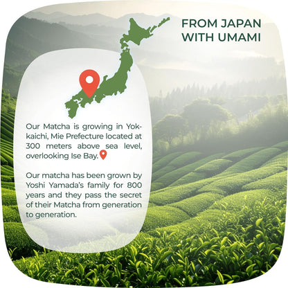Matcha Powder from Japan, Organic Matcha Green Tea Powder, No Sugar Added Matcha Tea Powder for Matcha Latte, Japanese Green Tea Matcha - Premium Culinary Grade Te Matcha Organic - 3.5 Oz/ 100G - by